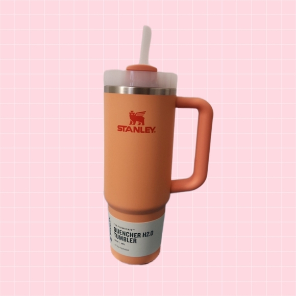 Stanley Other - Stanley Quencher Tumbler Coral